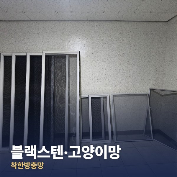 광진구 블랙스텐·고양이망